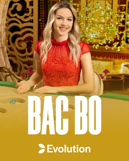 Wintino Casino Live Casino